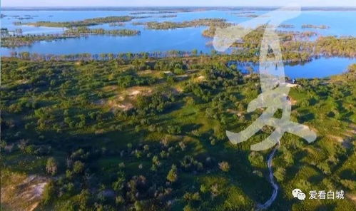 大美白城 誰(shuí)不說(shuō)俺家鄉(xiāng)好 榮獲亞洲大獎(jiǎng)