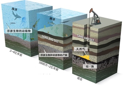 深海高壓下的海底沉積物 壓縮與生態(tài)的奇妙平衡