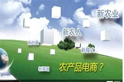 加快農(nóng)業(yè)信息化建設(shè)，拓展農(nóng)產(chǎn)品營銷新渠道